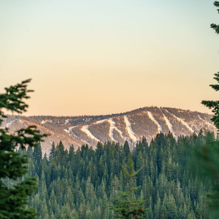 Sierra Community House Ski to Support Local Families – March 18, 2024